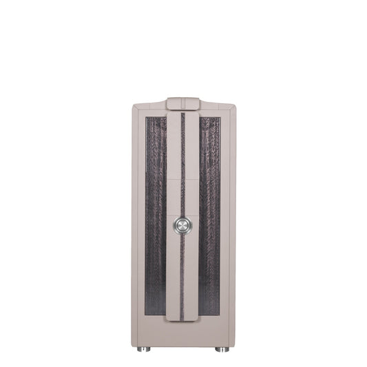 Buben & Zorweg Spectron XL Spectron safe with Eucalyptus Grey High-Gloss front and Gravel Grey Nappa leather, front view