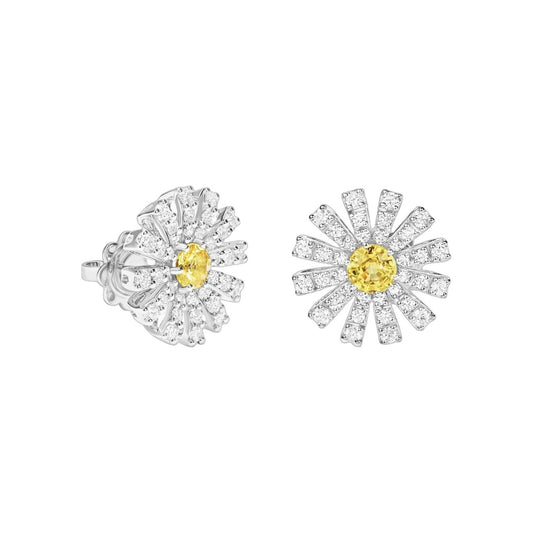Damiani Earrings 20114719