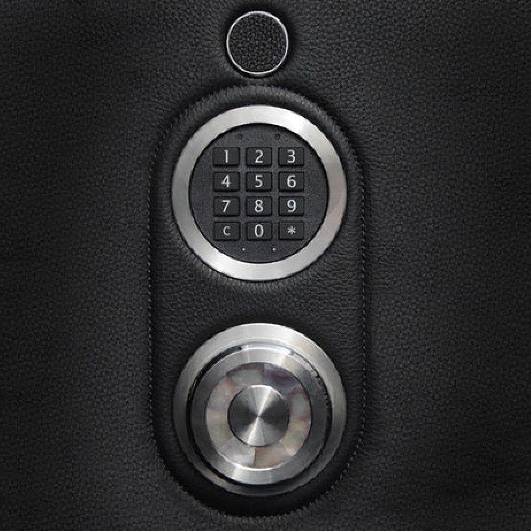 Buben & Zorweg Collector Deluxe Safe Macassar