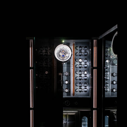 Buben & Zorweg Solitaire safe, interior in dark mode