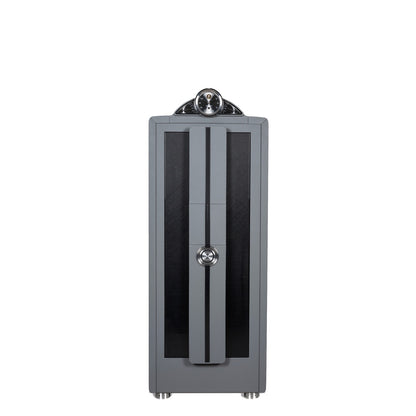 Buben & Zorweg Spectron XL Spectron Chronos safe with Carbon High-Gloss front and Grey Nappa leather, front view