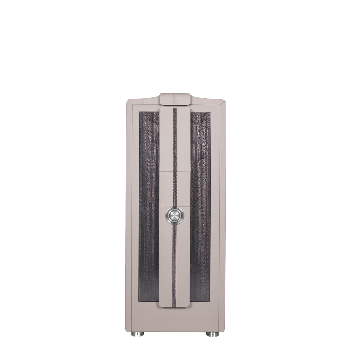 Buben & Zorweg Spectron XL Spectron safe with Eucalyptus Grey High-Gloss front and Gravel Grey Nappa leather, front view