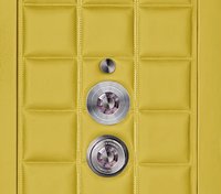 Lemon Yellow