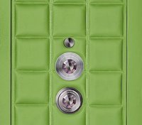 Lizard Green